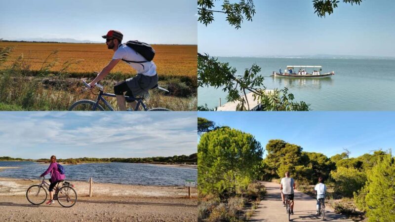 Albufera Complete Bike Tour-Rice Fields, Lake, Boat & Paella - Key Points