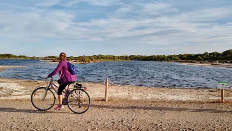 Albufera Complete Bike Tour-Rice Fields, Lake, Boat & Paella - Who Will Love This Tour?