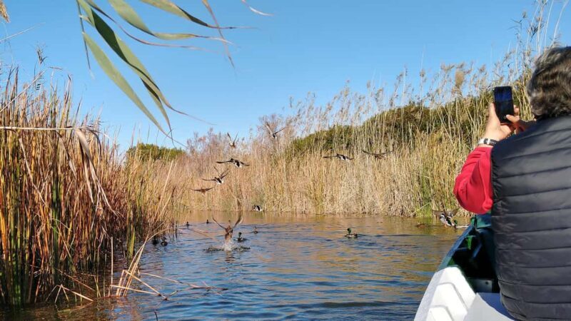 Albufera Complete Bike Tour-Rice Fields, Lake, Boat & Paella - Final Thoughts