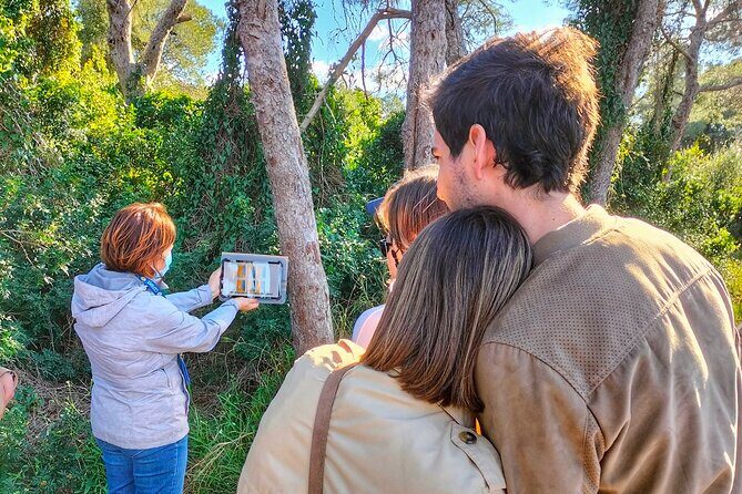 Albufera Natural Park Tour with Boat Ride from Valencia - Key Points