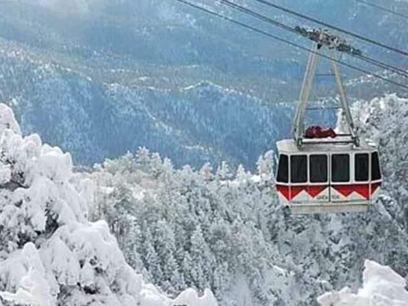 Albuquerque: Sandia Peak Snowshoe Tour with Tram Ride - Key Points