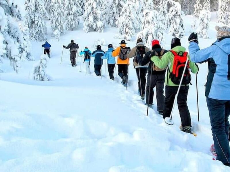 Albuquerque: Sandia Peak Snowshoe Tour with Tram Ride - Who Should Consider This Tour?