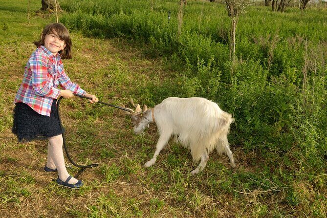 Alcamo Farm Animals and Aromatic Garden - A Genuine Taste of Farm Life in Sicily