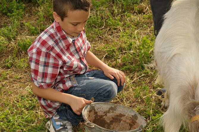 Alcamo Farm Animals and Aromatic Garden - FAQ