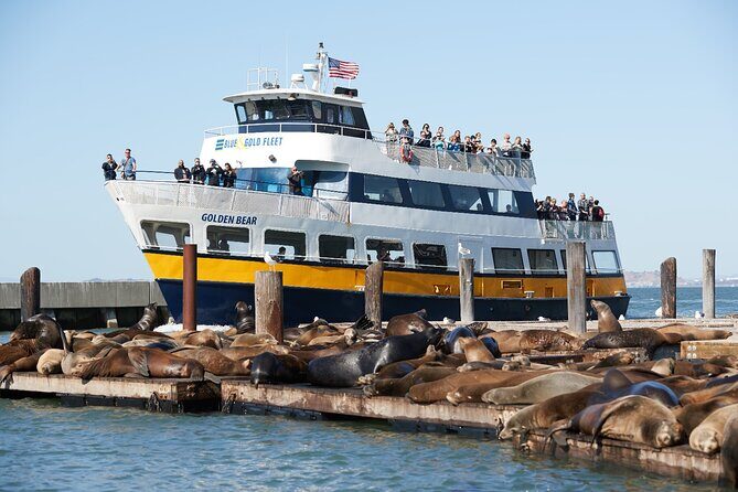 Alcatraz Day Tour and San Francisco Bay Cruise - A Detailed Look at the Experience