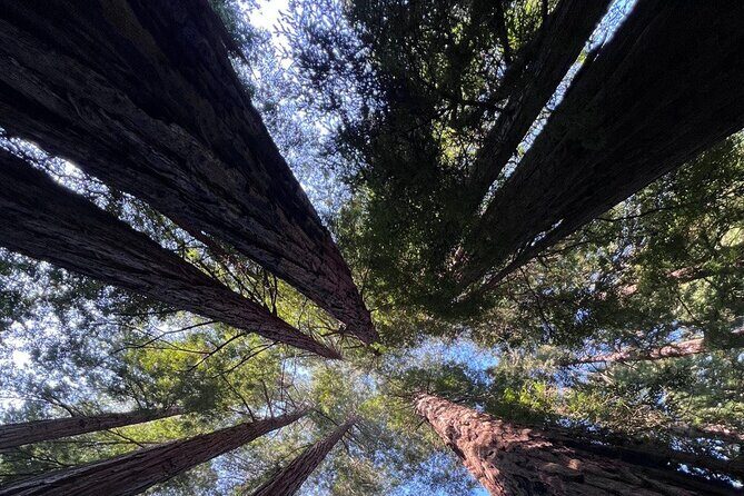 Alcatraz Night Tour & Muir Woods-Sausalito Afternoon or Morning - FAQ