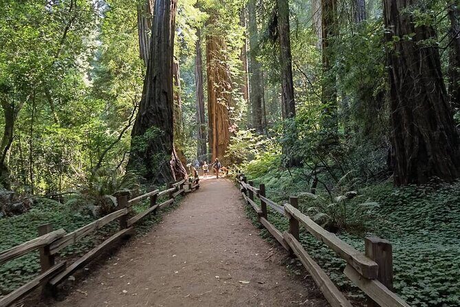 Alcatraz Plus Muir Woods & Sausalito Combo Tour - The Historic Alcatraz