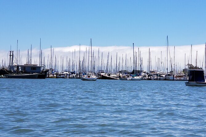 Alcatraz with Muir Woods and Sausalito Tour - FAQ