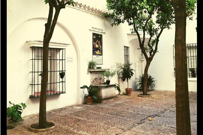 Alcazar, Cathedral And Santa Cruz Private Tour - A Deep Dive into the Tour Experience