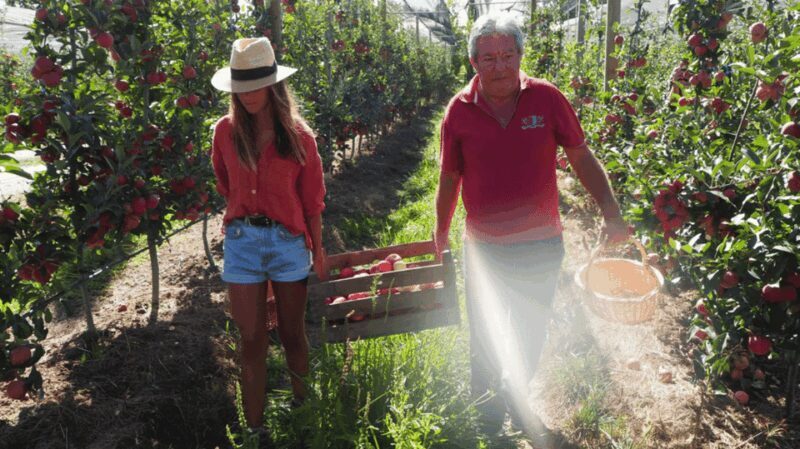 Alcobaça: Visit to the Lemos Figueiredo Winery and Distillery - FAQs