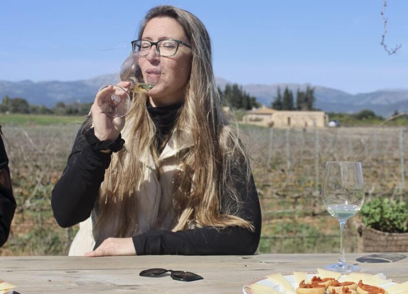 Alcúdia/Can Picafort: Guided Vineyard Visit and Wine Tasting - Alcúdia/Can Picafort: Guided Vineyard Visit and Wine Tasting — A Genuine Mallorca Experience