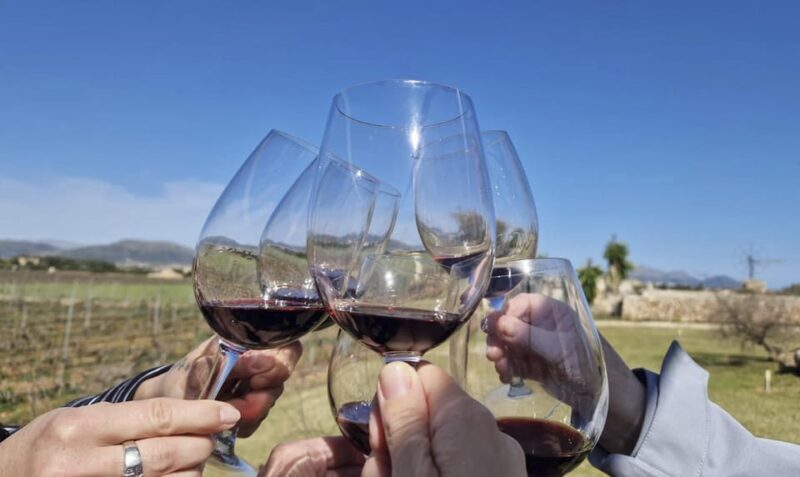 Alcúdia/Can Picafort: Guided Vineyard Visit and Wine Tasting - Key Points