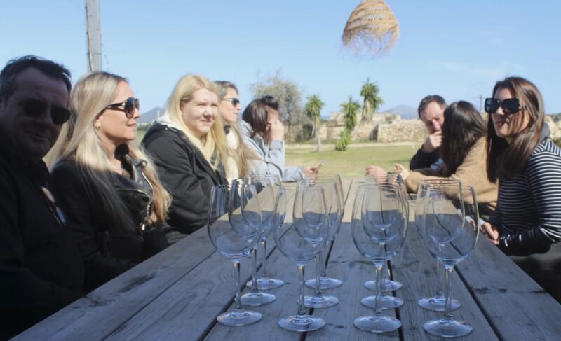 Alcúdia/Can Picafort: Guided Vineyard Visit and Wine Tasting - Final Thoughts