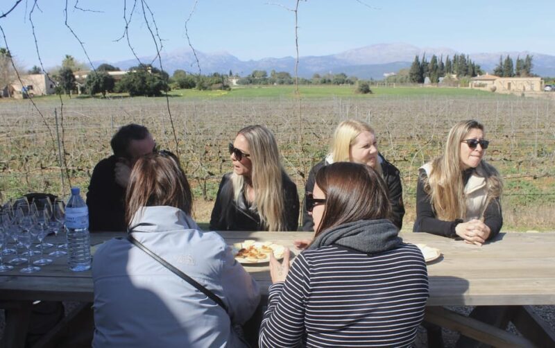 Alcúdia/Can Picafort: Guided Vineyard Visit and Wine Tasting - FAQs