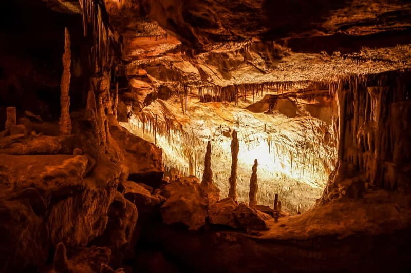 Alcudia: Caves of Drach Tour from the North with Boat Trip - Alcudia: Caves of Drach Tour from the North with Boat Trip
