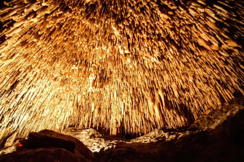 Alcudia: Caves of Drach Tour from the North with Boat Trip - Who Will Love This Tour?