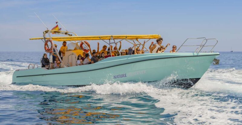 Alcudia: Coll Baix Beach & Sea Caves Cruise with Snorkeling - A Detailed Look at the Mallorca Coll Baix Beach & Sea Caves Cruise