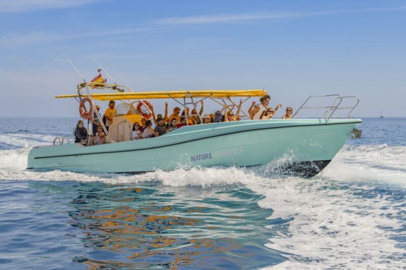 Alcudia: Coll Baix Beach & Sea Caves Cruise with Snorkeling - Practical Tips for Your Trip