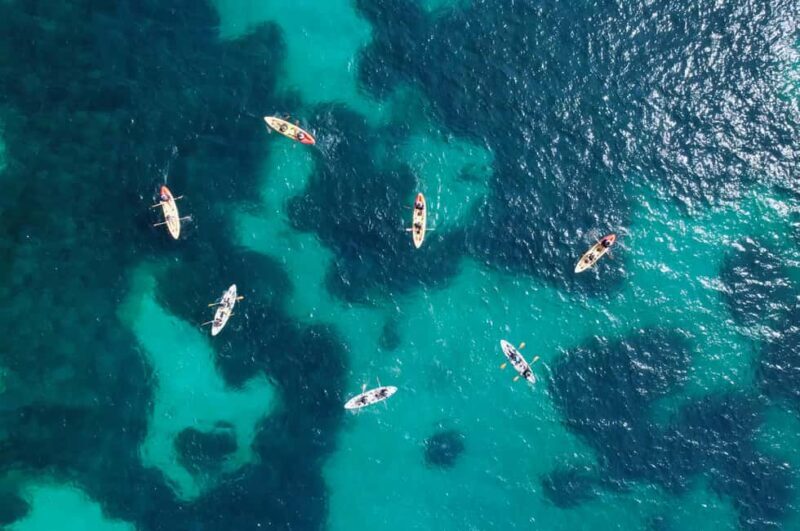 Alcudia: Kayaking Tour with Snorkel & Sea Cave Swim - Who Should Book This Tour?