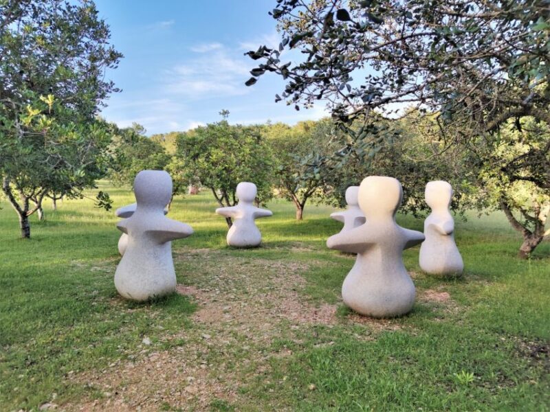 Alcudia: Museum Sa Bassa Blanca Entry Ticket - An In-Depth Look at Museum Sa Bassa Blanca