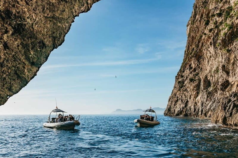 Alcudia or Can Picafort: Dolphin-Watching Cruise - Alcudia or Can Picafort: Dolphin-Watching Cruise – A Detailed Review