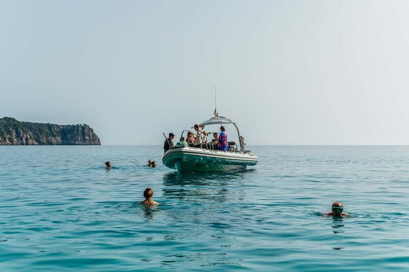 Alcudia or Can Picafort: Dolphin-Watching Cruise - FAQs