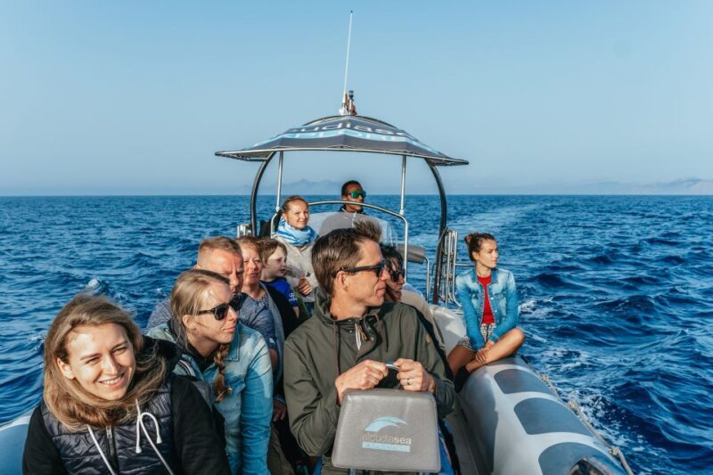 Alcudia or Can Picafort: Dolphin-Watching Cruise - Final Thoughts