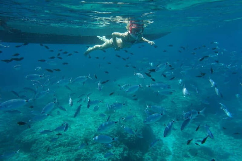 Alcudia: Sea Caves Coves and Snorkeling in small groups - Key Points