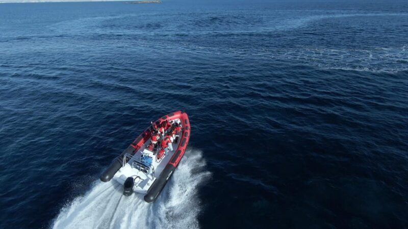 Alcudia: Sightseeing, Sea Caves & Snorkel Speedboat Tour - The Guides and Their Role