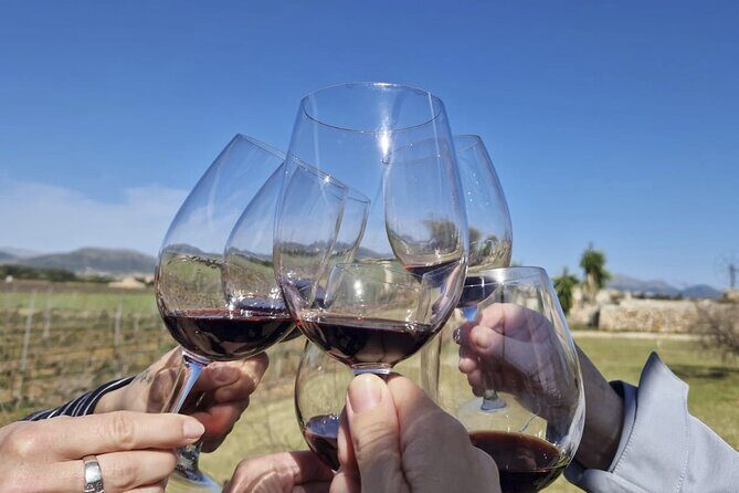 Alcudia Winecellar Tour with Vineyard Visit, Tasting of 5 Wines - Final Thoughts