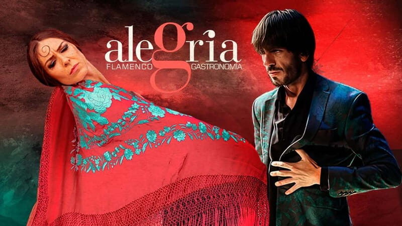 Alegria Flamenco in Malaga, with Transfer, Cocktail and Premium Location - Who Should Consider This Tour?