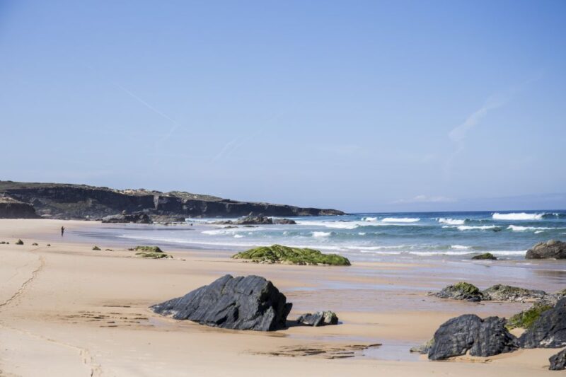 Alentejo: 2-Hour Surf Lesson - Exploring the 2-Hour Surf Lesson in Alentejo — What You Need to Know