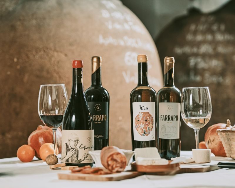 Alentejo: Visit and Taste the tradition of Talha Wines - The Sum Up
