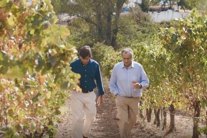 Alentejo Wine Tour from Évora - Exploring the Details: What You Can Expect