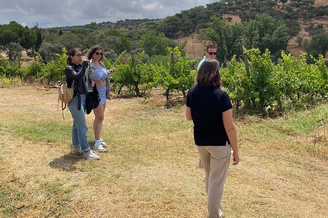Alentejo Wine Tour from Évora - In-Depth: A Step-by-Step Breakdown of the Tour Experience