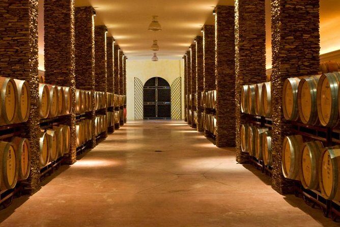 Alentejo Wine Tour from the Algarve - Final Thoughts: Why Choose This Wine Tour?