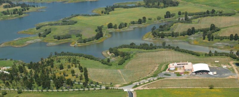 Alentejo Wine Tour from the Algarve - Discover Portugal’s Largest Wine Region: Alentejo Wine Tour from the Algarve