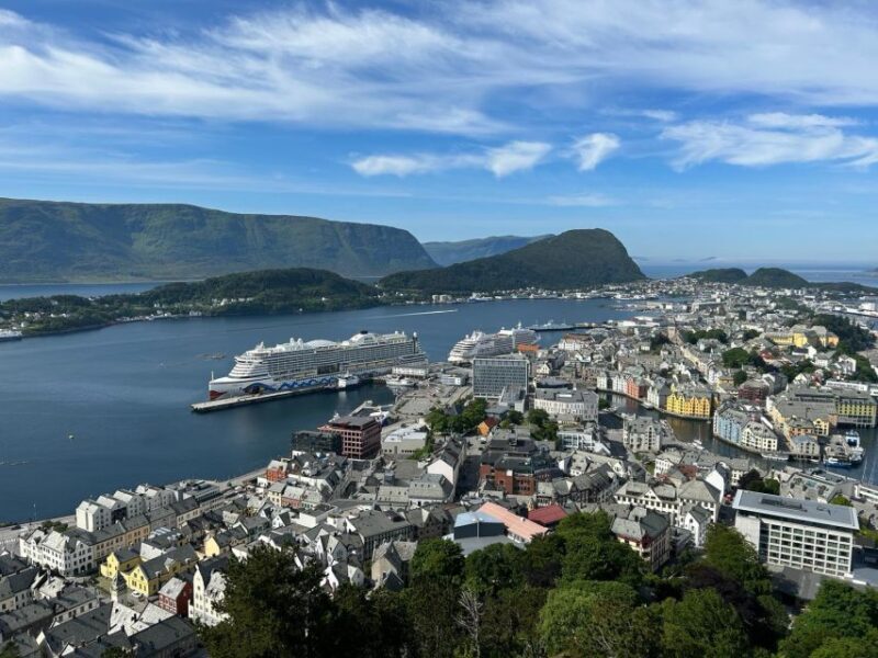 Ålesund: Giske and Godøy Islands Guided Sightseeing Tour - Who Should Consider This Tour?