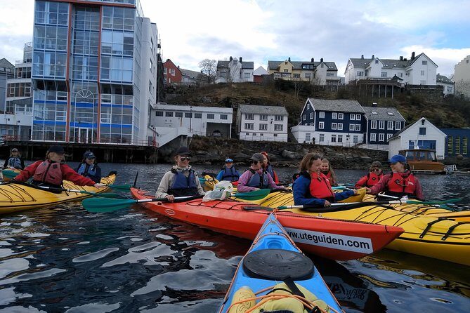 Ålesund Round Trip  A Great Kayak Adventure - Who Will Love This Tour?
