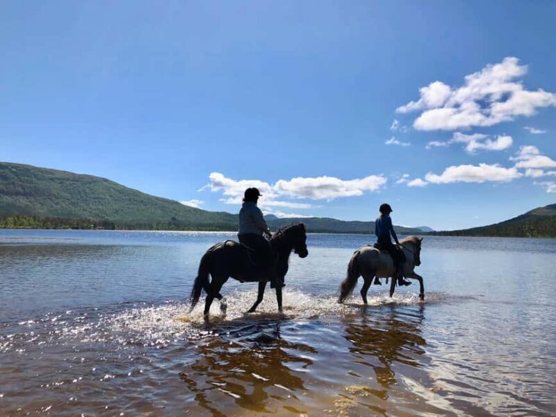 Ålesund: Sunnmøre Horseback Riding Tour with Guide - Why This Tour Stands Out
