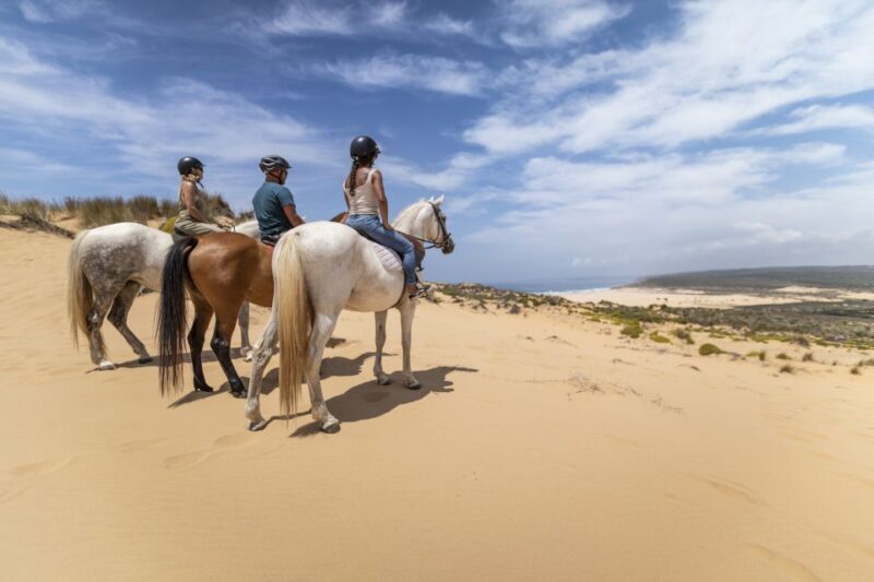 Algarve: 1-Hour Carrapateira Horseback Riding Tour - The Ride Itinerary: Coast, Dunes, and Village