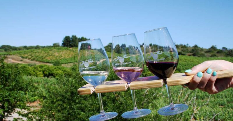 Algarve: 3 Types of Wine Tastings with Vineyard Views - Key Points