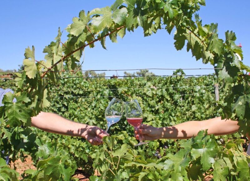 Algarve: 3 Types of Wine Tastings with Vineyard Views - An In-Depth Look at the Algarve Wine Tasting Experience