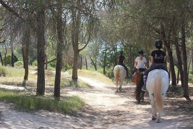 Algarve - Exclusive horseriding in Portimao (no experience required) - Exploring the Algarve on Horseback: An Authentic and Scenic Adventure