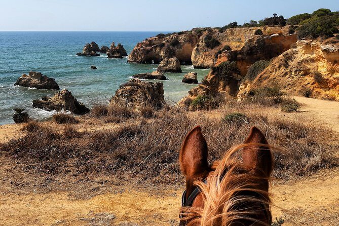 Algarve - Exclusive horseriding in Portimao (no experience required) - The Value Proposition