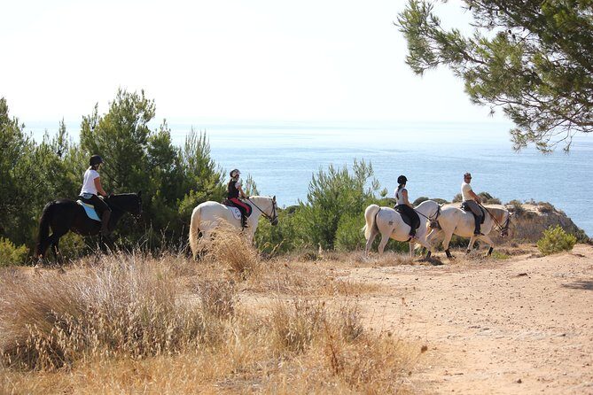 Algarve - Exclusive horseriding in Portimao (no experience required) - Frequently Asked Questions