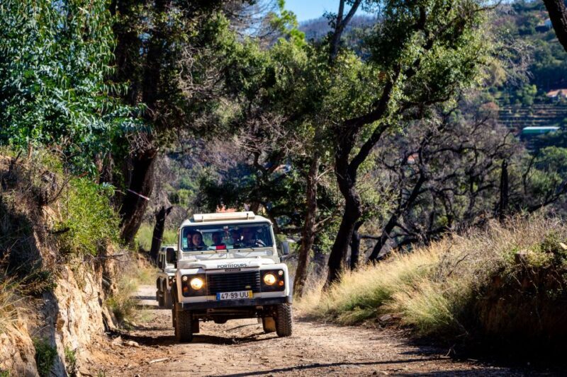 Algarve: Full-Day Boat and Jeep Tour - FAQs