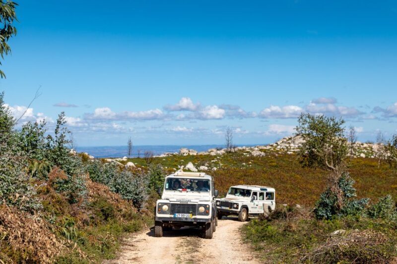 Algarve: Full-Day Guided Sightseeing Tour with Lunch - Who Will Enjoy This Experience?