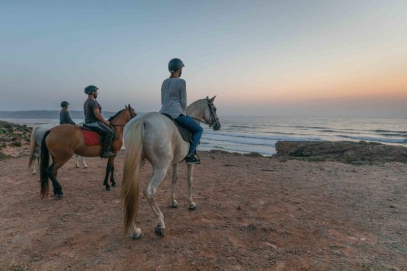 Algarve: Horse Riding Beach Tour at Sunset or Morning - Who Should Consider This Tour?