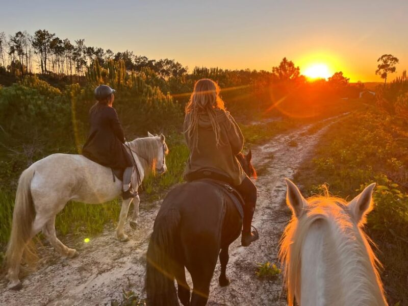 Algarve Horseriding tour in the countryside of Aljezur Rogil - The Authentic Touch